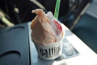 917　ジェラート ダブル　gelateria gattino　250323