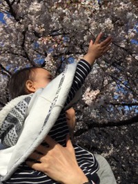 続☆春うらら。