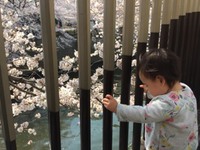 春うらら。