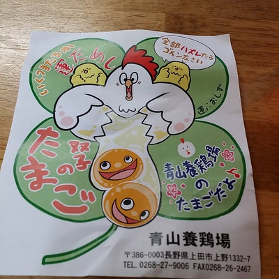 双子のたまご　青山養鶏場　上田市