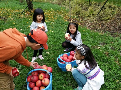 中島農園　　りんご狩り