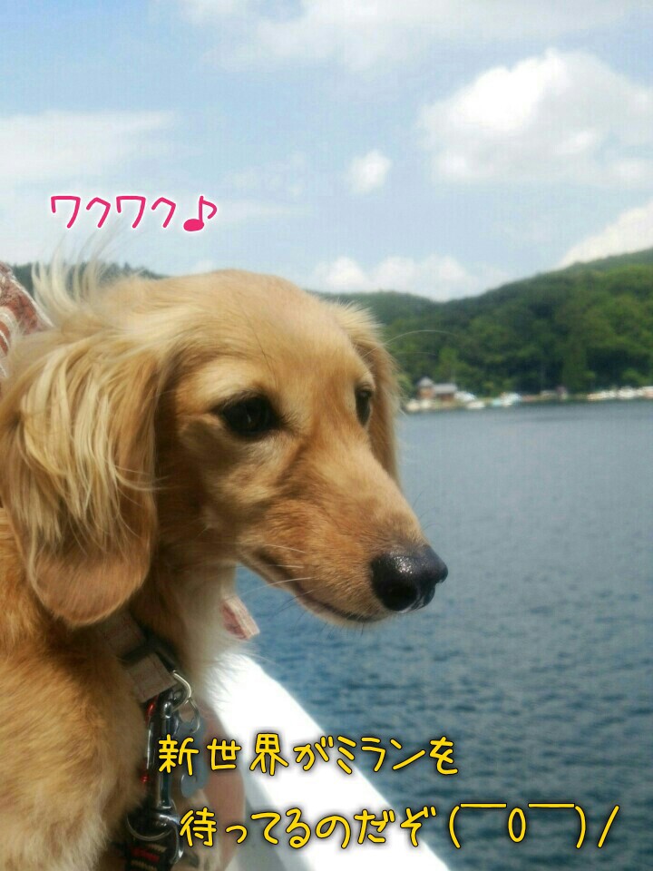 自由犬ミラン 行雲流水 野尻湖クルージング