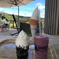永井農場　HARVEST　NAGAI　FARM