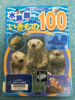夜寝る前のイメージトレーニング？