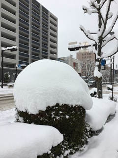 こんもり！