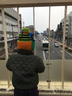 聖地・バスターミナルの後、歩道橋の上から巡礼…？！