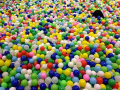 おんなのこは どこだろう。