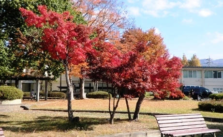 真田公園の紅葉