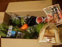 今週のぱれっと