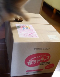 菊水堂の“できたてポテトチップス”♪ 2015/04/18 18:26:59