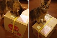 菊水堂の“できたてポテトチップ”再び♪ 2015/09/02 22:01:15