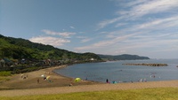 海