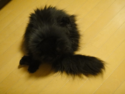 ひなまつりブサ顔選手権