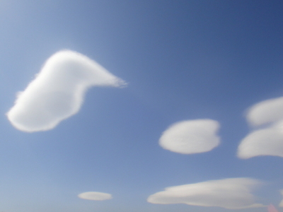 青い空と白い雲＆黒い猫