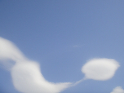 青い空と白い雲＆黒い猫