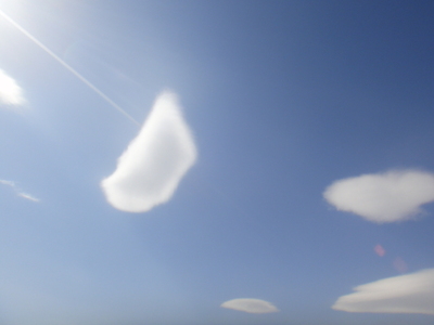 青い空と白い雲＆黒い猫