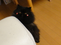 ４月の思い出