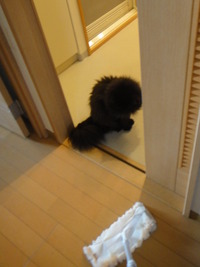 お掃除見守り隊