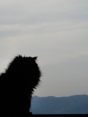 どんどん朝が早くなる・・