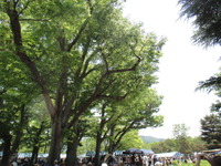 クラフトフェアまつもと２０１３