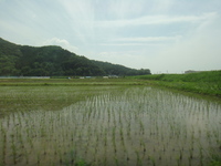 翼を広げて