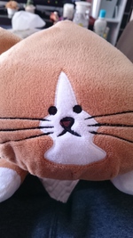 momon&momo