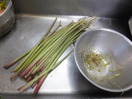 育苗ハウス内の仕上げの片付けと田植えの準備