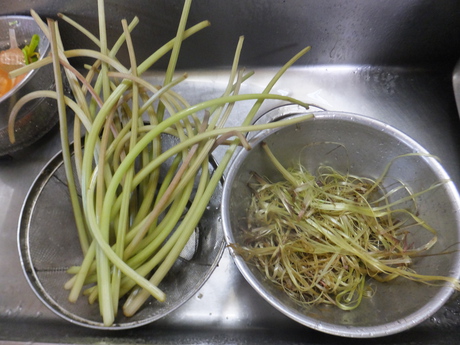 育苗ハウス内の仕上げの片付けと田植えの準備