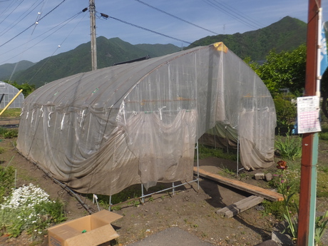 昨日はシフト休み、３つ目の育苗ハウスのシート外し等、農作業日