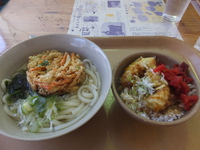 昼はかき揚げうどんとミニ丼のセット、昨日もいい天気となったMt.乗鞍スノーリゾートゲレンデコンデションもグッド