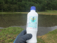 昨日も田圃仕事、除草剤撒きと基肥料撒き