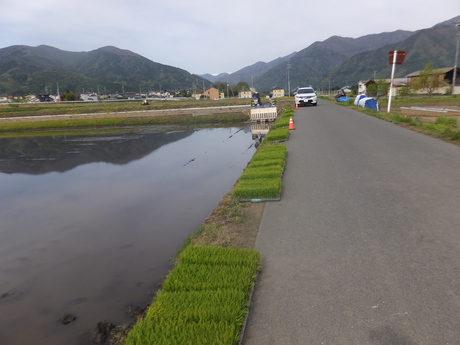 田植え4日目で、もちひかり・コシヒカリの12枚の田圃植え終えた