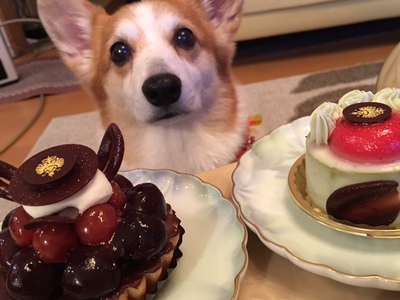 デメルのケーキで至福の時♪