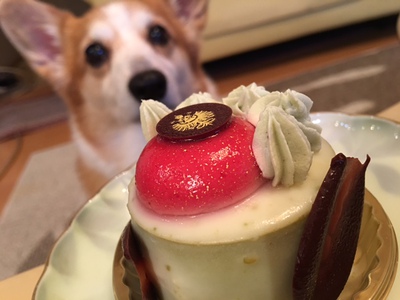 デメルのケーキで至福の時♪