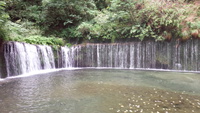 




白糸の滝。…