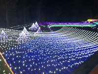 Winter Illumination 光の森のページェント2023