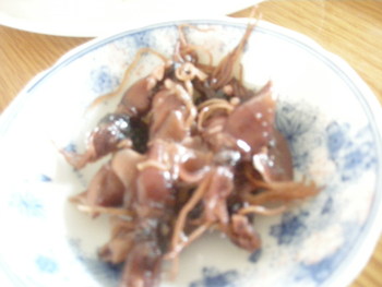 ホタルイカ