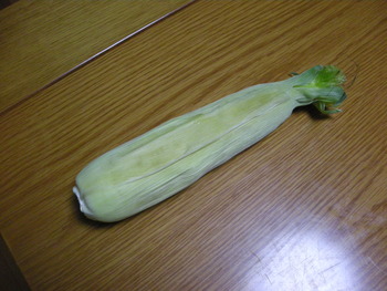 夏といえば。その２。
