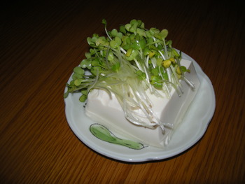 好きなんです。やっぱり。