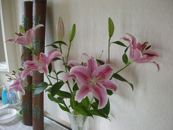 お花の成長って。。。