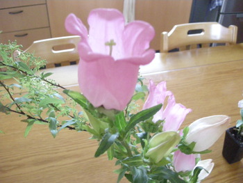 きれいでしょ？