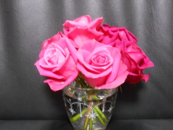 薔薇
