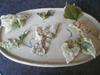 雑草食系