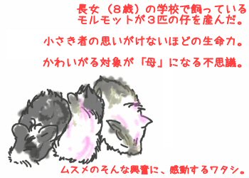 モルが産んだ