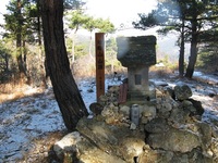 地附山便り