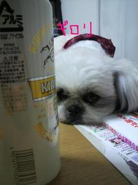 最近（＾◇＾）/・・・・・・。