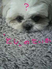 お久しぶりぶり！！！・・・・。