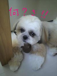 その後の・・・・。