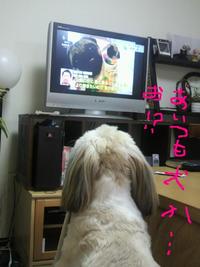 まりさんの、ひととき・・・・・・。