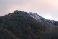 里山に初冠雪